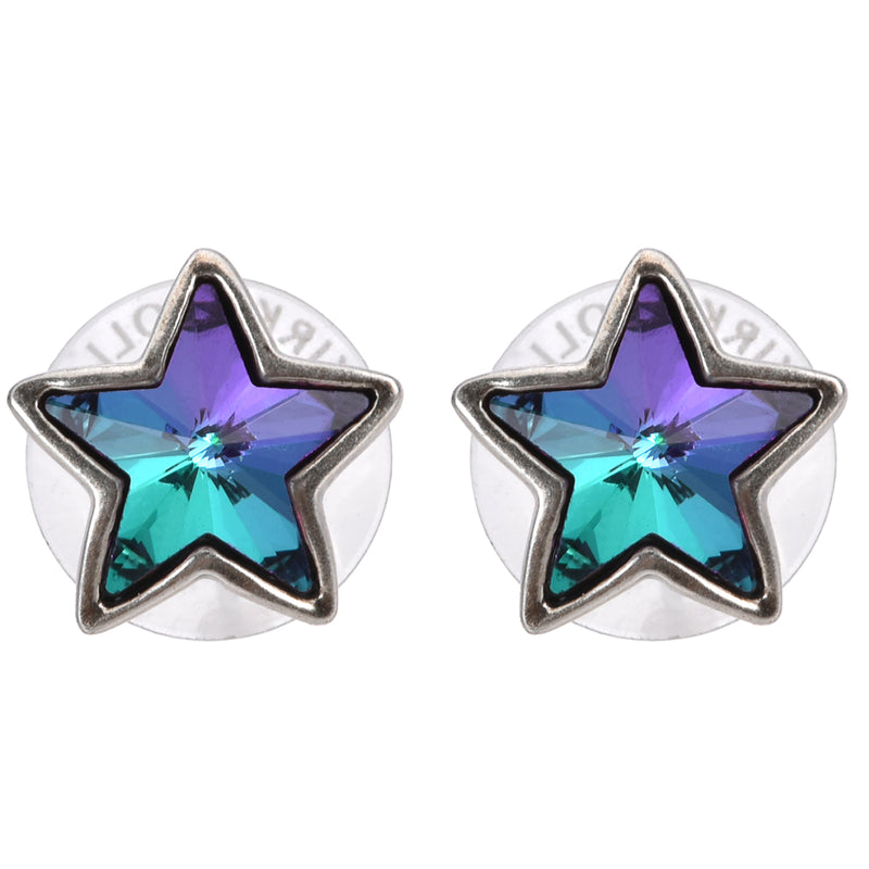 Stardust Dream Pierced Earrings (Silver Ox)