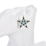 Starlight Dream Pierced Earrings (Brasstone)