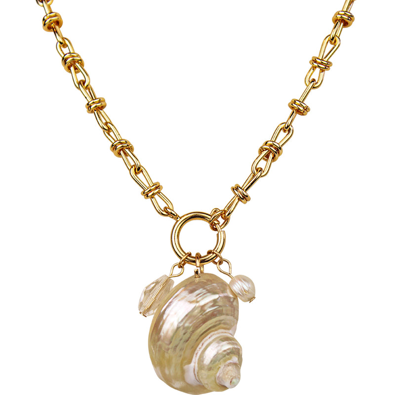 Beach Beauty Turbo Shell Necklace (Goldtone)