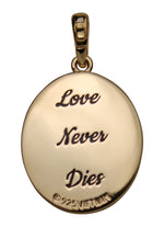 Petite Stardust Diamond Love Never Dies Oval Pendant Necklace (14k Gold Plated)
