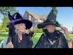 Butterfly Enchanted Garden Witch Hat With Free Black Feather Fan
