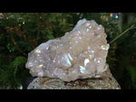 Lighthearted Aura Citrine Crystal Cluster