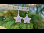 Crystalized 27mm Star Leverback Earrings (Sterling Silvertone)