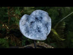 Peaceful Celestite Crystal Cluster Heart