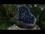 Mystical Rainbow Titanium Aura Amethyst Crystal Cluster