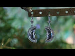 Metallic Moon Shadow Leverback Earrings (Sterling Silvertone)