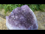 Devotion Amethyst Quartz Crystal Cluster