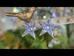Starlight Dream Pierced Earrings (Silver Ox)