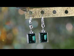 Brilliant Emerald Cut Petite Leverback Earrings (Sterling Silvertone/Emerald Green)