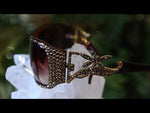 Dragonfly Desire Sunglasses