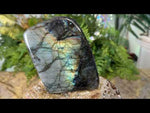 Shimmer & Shine Labradorite Free Form